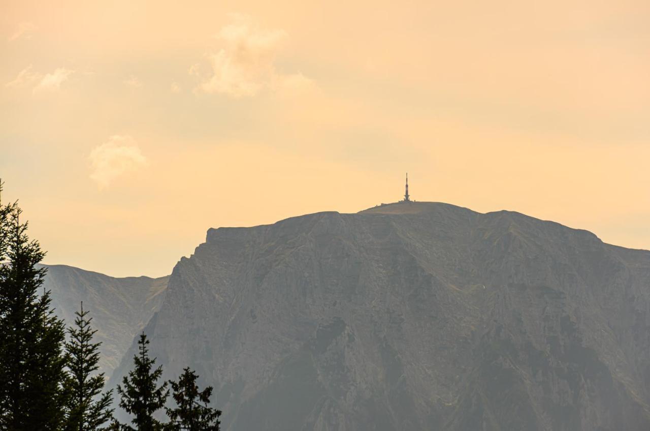 بْريدال Pensiunea Hilltop المظهر الخارجي الصورة